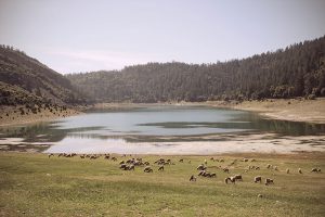 Protection-et-Valorisation-de-la-Biodiversité