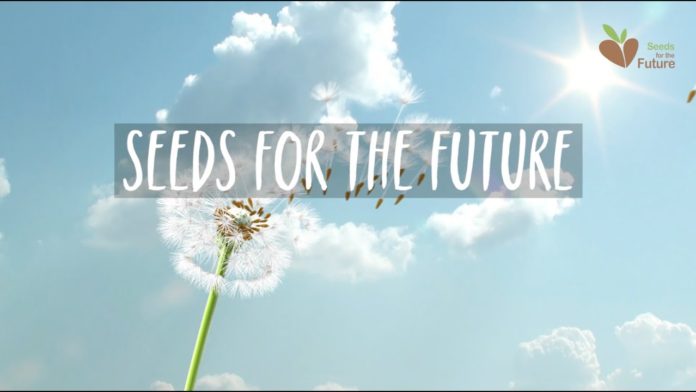 Huawei Seeds For The future
