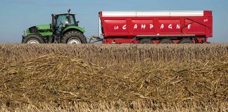 Le blé est en passe de réchauffer les relations entre la France et le Maroc