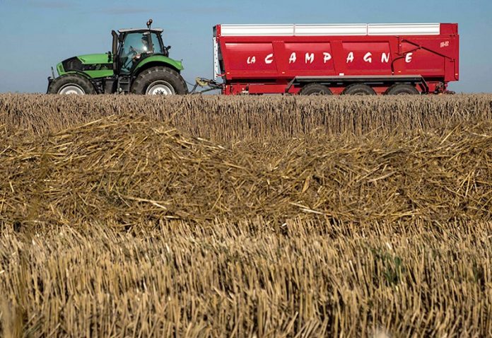 Le blé est en passe de réchauffer les relations entre la France et le Maroc