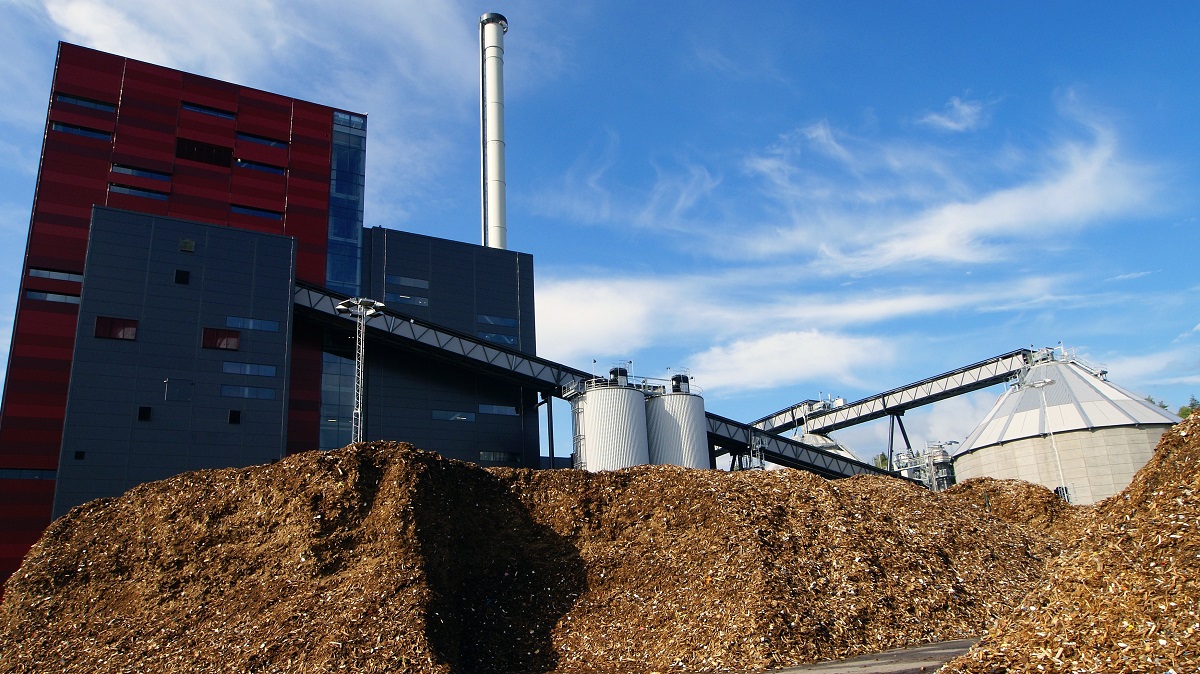 Biomass, an under-exploited energy potential in Morocco