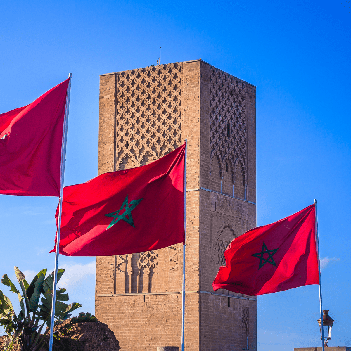 Maroc : la croissance prévue à 3,2% en 2024