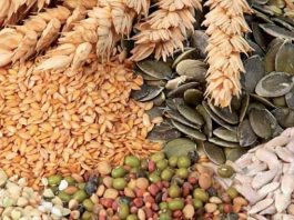Céréales-et-légumineuses-adoption-d-un-projet-de-décret-sur-la-caution-de-bonne-exécution-des-opérations-d-importation