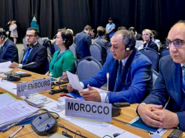 13e-Conférence-de-l-OMC-Le-Maroc-s-engage-contre-les-plastiques-nocifs