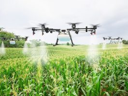 Agriculture-par-l-intelligence-artificielle