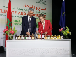 Maroc-UE-importation-Miel