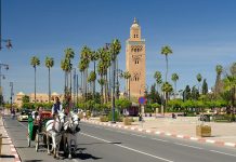 Marrakech-Safi-Investissement
