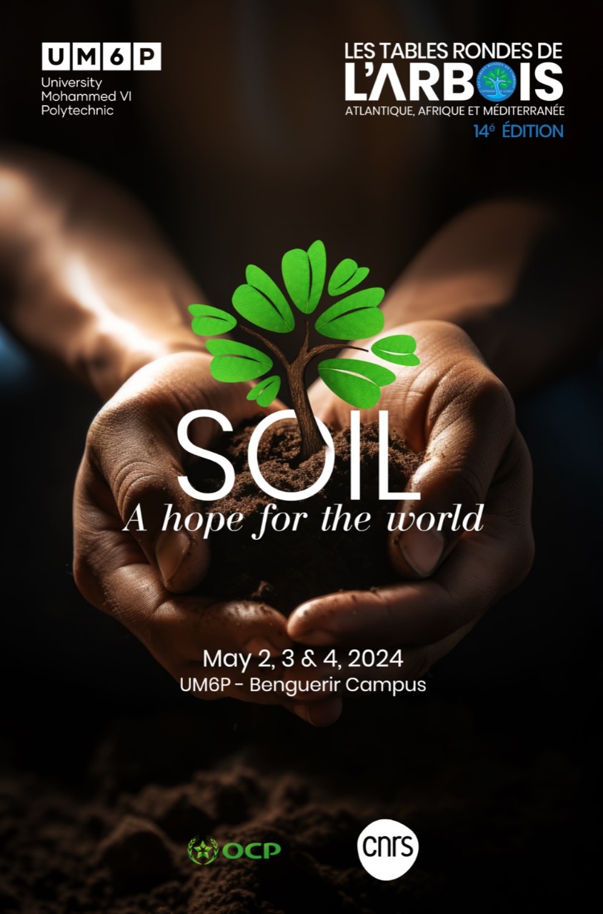 The future of soil sustainability