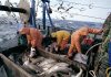 Port d'Essaouira : forte progression des activités de pêche