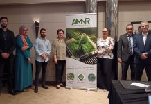 L’Alliance Marocaine pour le Numérique Responsable