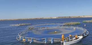 Aquaculture : L'ANDA prévoit 232 projets de fermes à l’horizon 2025