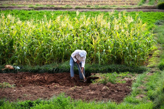 Le Maroc élu à Rome membre du comité directeur du Cadre mondial contre la Pénurie d’Eau dans l’Agriculture