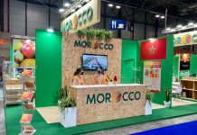 Exportations-marocaines-Morocco-Foodex-prépare-une-plateforme-digitale-pour-2025