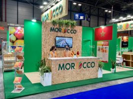 Exportations-marocaines-Morocco-Foodex-prépare-une-plateforme-digitale-pour-2025