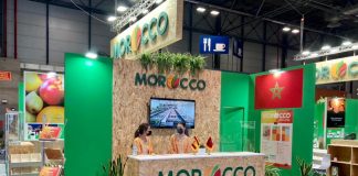 Exportations-marocaines-Morocco-Foodex-prépare-une-plateforme-digitale-pour-2025