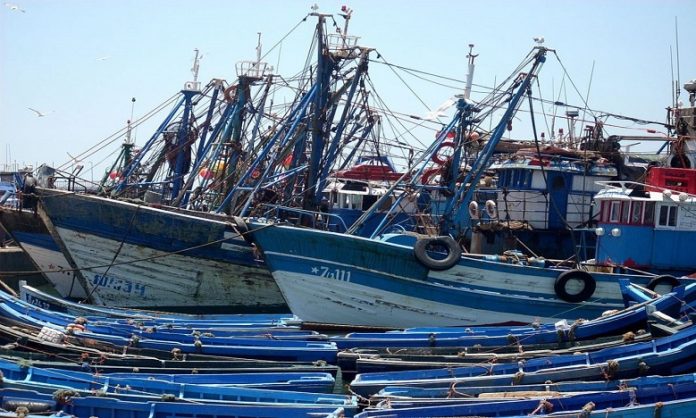 Port-de-Mehdia-baisse-de-17-des-debarquements