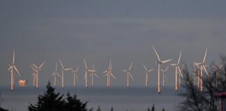 Vue lointaine d'éolienne en mer