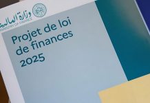 Transferts-des-EEP-à-l-État-19-5-MMDH-attendus-en-2025