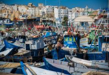 Pêche : Les débarquements reculent de 29 au port de Tanger