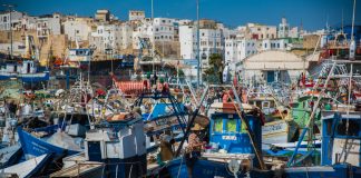 Pêche : Les débarquements reculent de 29 au port de Tanger