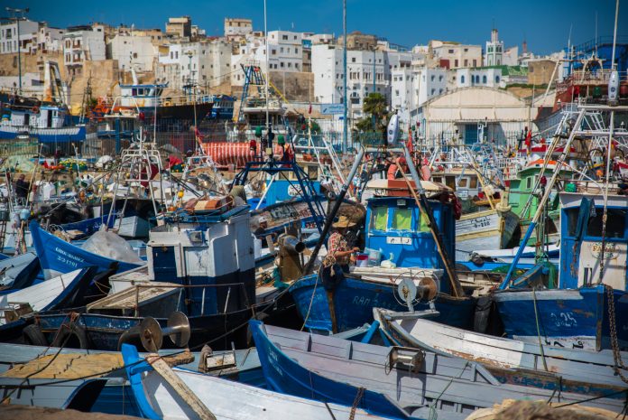 Pêche : Les débarquements reculent de 29 au port de Tanger