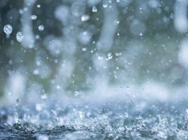 Hauteur des pluies enregistrées ces dernières 24H