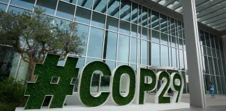 COP29 : L'Argentine fait marche arrière et se retire