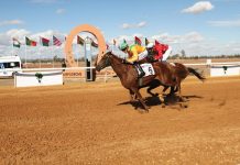 Marrakech: franc succès de la 3è édition du Grand Prix d'Afrique des courses de chevaux