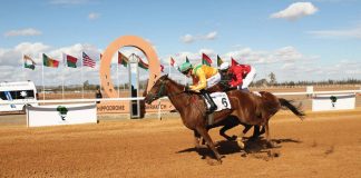 Marrakech: franc succès de la 3è édition du Grand Prix d'Afrique des courses de chevaux