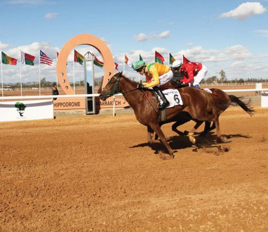 Marrakech: franc succès de la 3è édition du Grand Prix d'Afrique des courses de chevaux