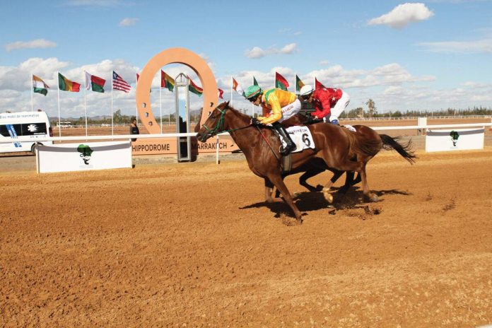 Marrakech: franc succès de la 3è édition du Grand Prix d'Afrique des courses de chevaux