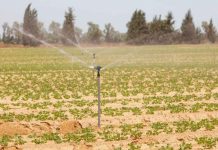 Guercif : L'économie de l'eau d'irrigation, une option essentielle pour faire face aux changements climatiques