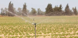 Guercif : L'économie de l'eau d'irrigation, une option essentielle pour faire face aux changements climatiques