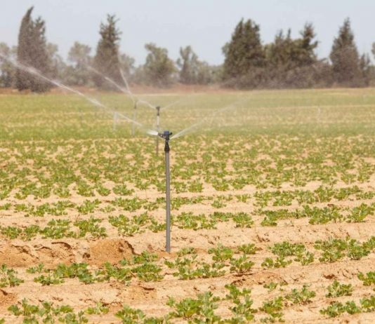 Guercif : L'économie de l'eau d'irrigation, une option essentielle pour faire face aux changements climatiques