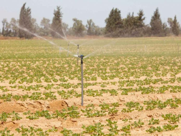 Guercif : L'économie de l'eau d'irrigation, une option essentielle pour faire face aux changements climatiques