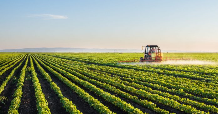 Groupe OCP: Un acteur de premier plan au cœur de la sécurité alimentaire