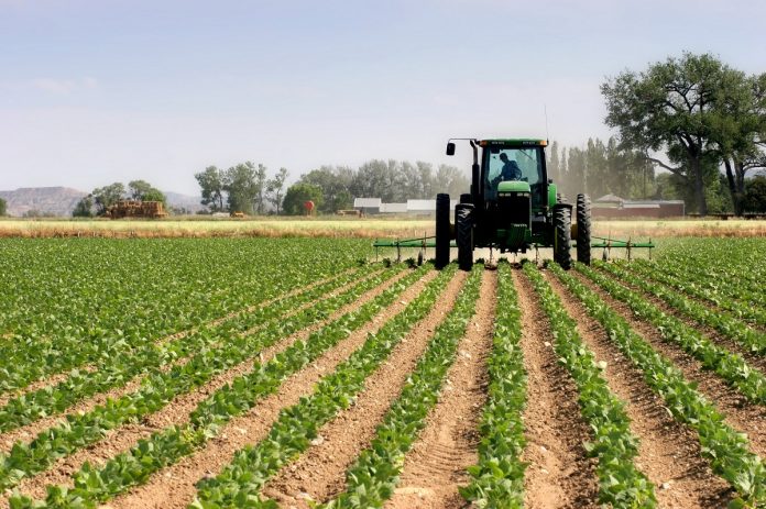 Campagne agricole 2024/2025 : Une saison sous le signe de l’espoir et des défis