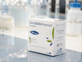 Avec le cannabidiol de Pharma 5, le Maroc entre officiellement dans l’ère du cannabis médical