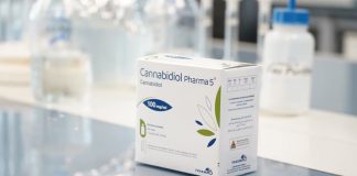 Avec le cannabidiol de Pharma 5, le Maroc entre officiellement dans l’ère du cannabis médical