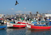 Port-de-Larache-Hausse-de-7-des-débarquements-de-pêche-à-fin-novembre-ONP