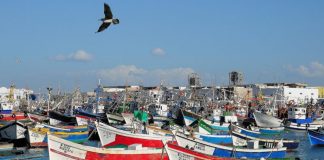 Port-de-Larache-Hausse-de-7-des-débarquements-de-pêche-à-fin-novembre-ONP