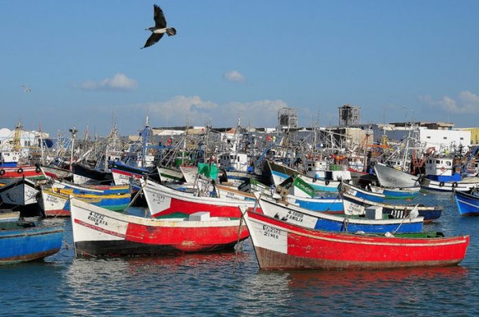 Port-de-Larache-Hausse-de-7-des-débarquements-de-pêche-à-fin-novembre-ONP