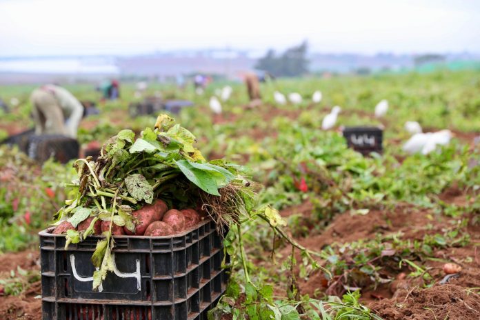 Le gouvernement déploie un plan d’accompagnement pour le soutien aux agriculteurs