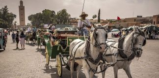 Maroc un trimestre record pour le tourisme