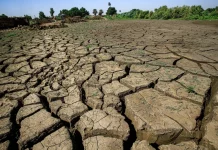 Le changement climatique accentue les crises humanitaires en Afrique, selon l’OMM