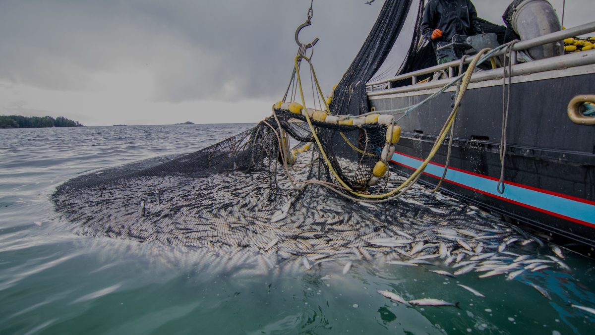 Pêche maritime : le Maroc accélère la digitalisation et modernise ses marchés de gros