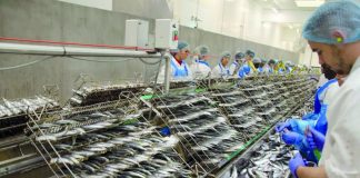 Crise de la conserve au Maroc : l’UNICOP tire la sonnette d’alarme