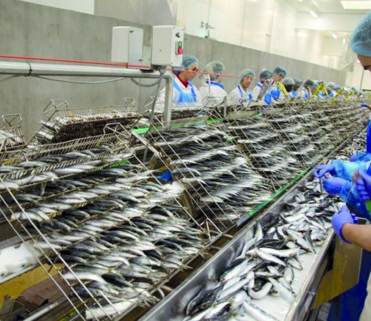 Crise de la conserve au Maroc : l’UNICOP tire la sonnette d’alarme