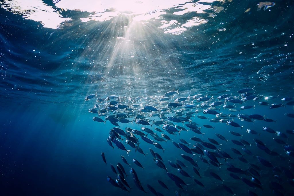 L’économie des océans, moteur mondial sous pression