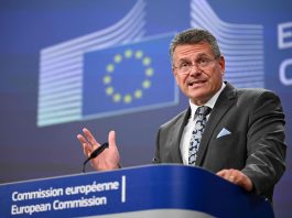 Guerre commerciale L’UE et la Corée du Sud en quête d’un accord avec Washington